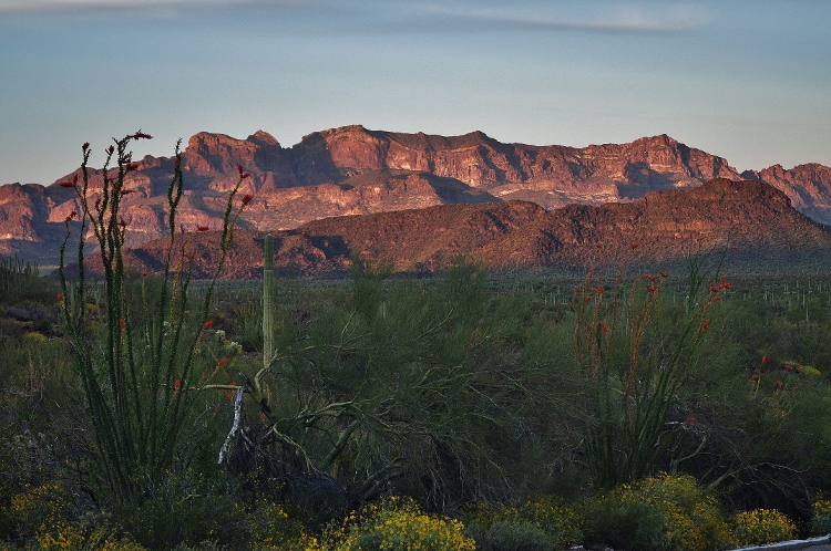 desert floor at sunset